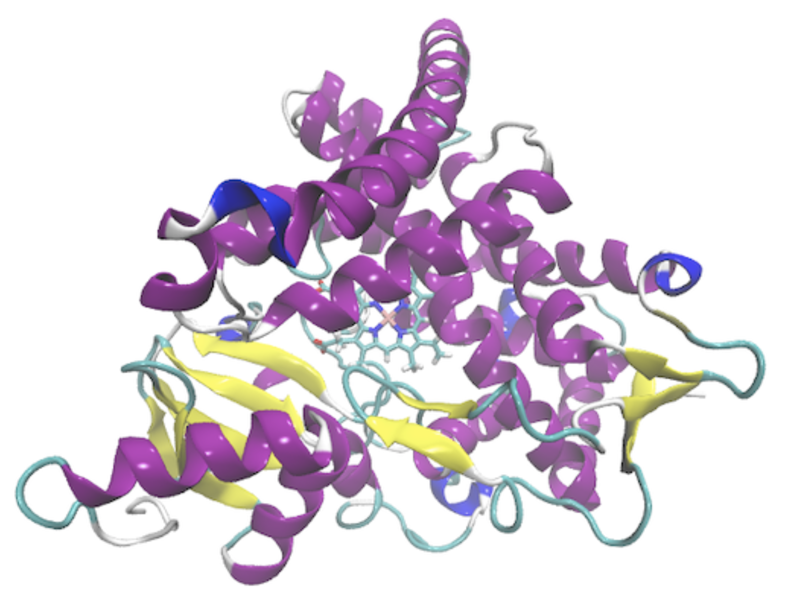 Aromatase structure