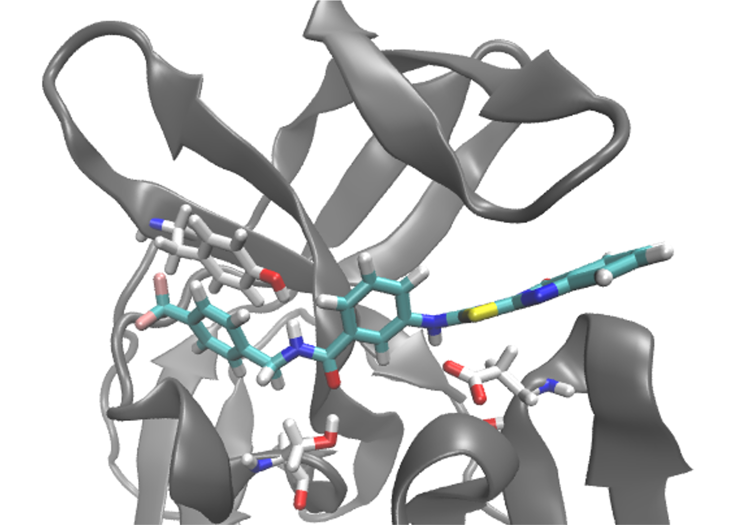 Zika protease binding site