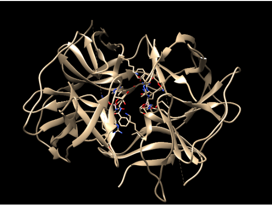 Zika protease structure