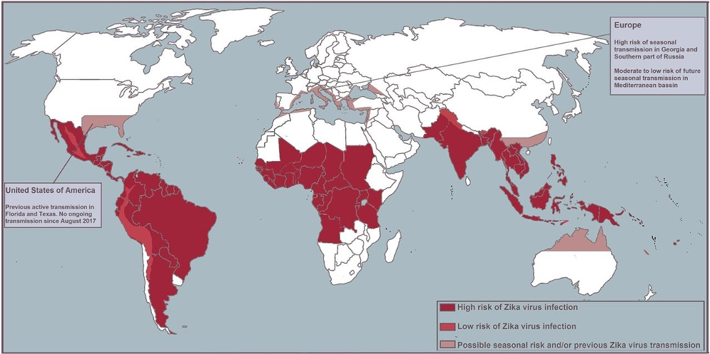 Zika worldwide