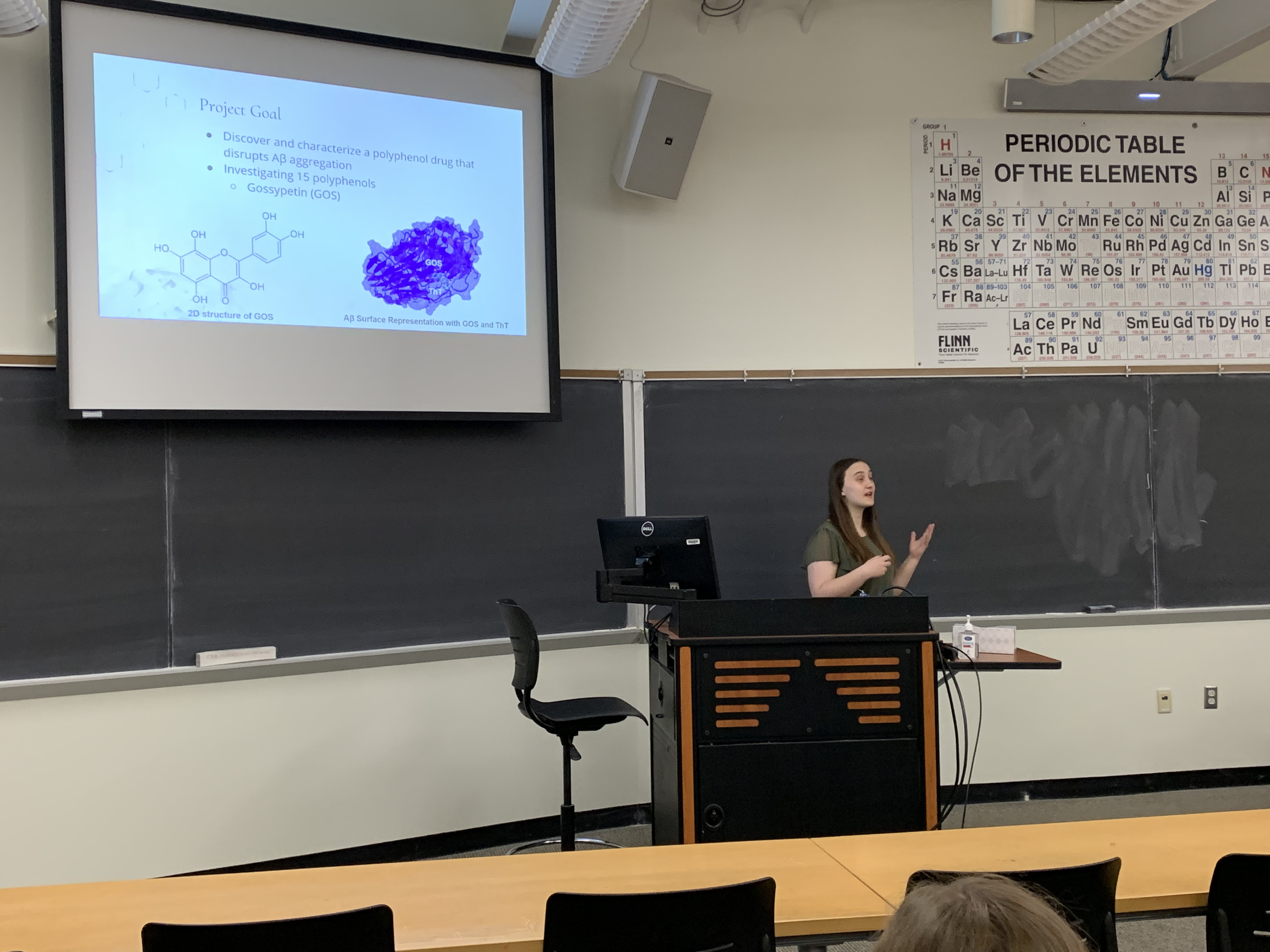 Hannah Z (senior Biology major) presents her results on the Amyloid Beta project.