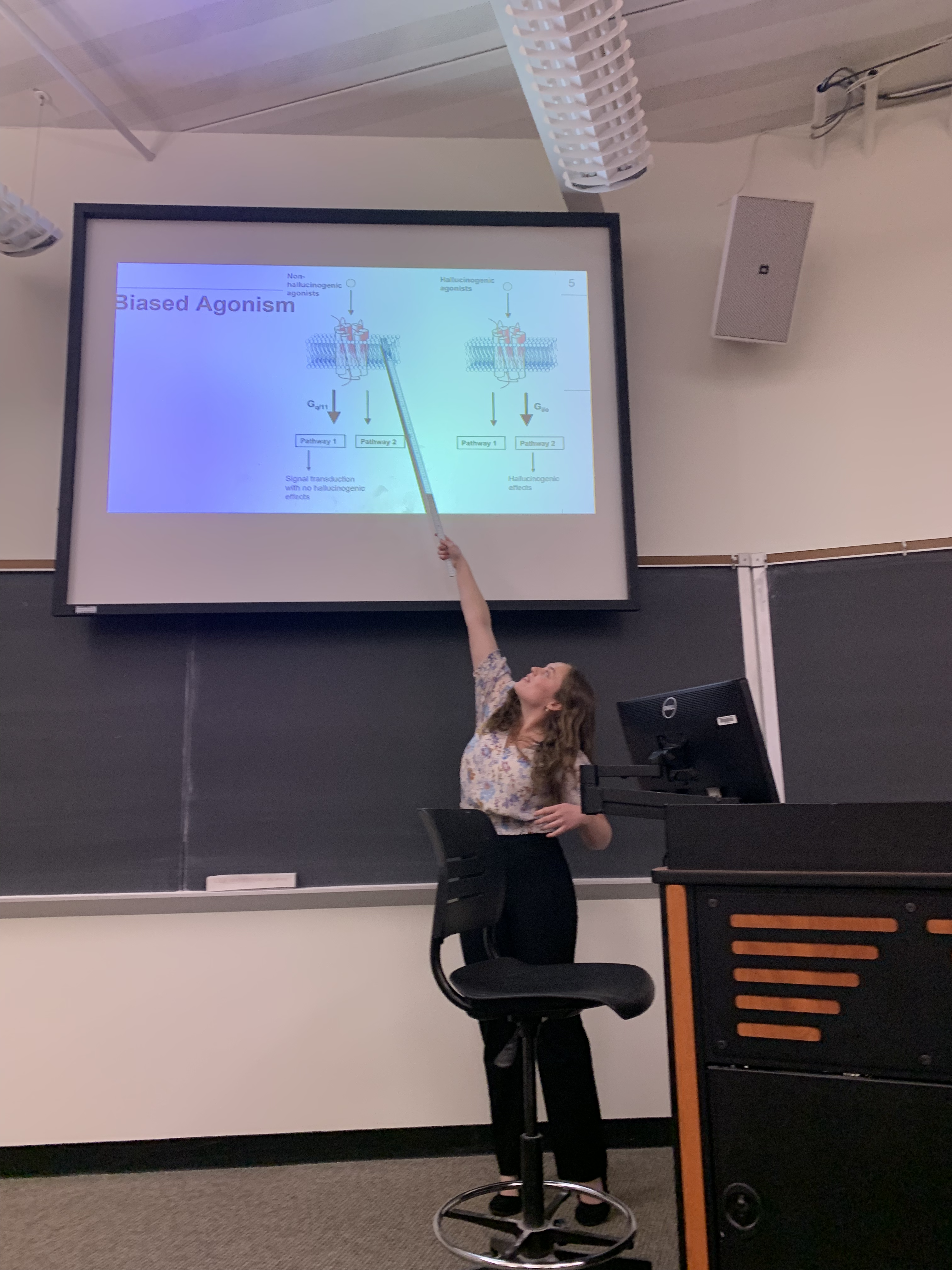 Sarah Holmes (senior BCMB major) uses a meter stick to point to her results on the serotonin receptor project.